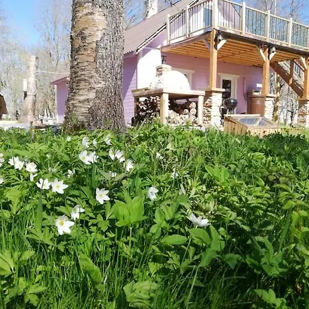 Holiday home Traditional House With The Sauna And Free Parking