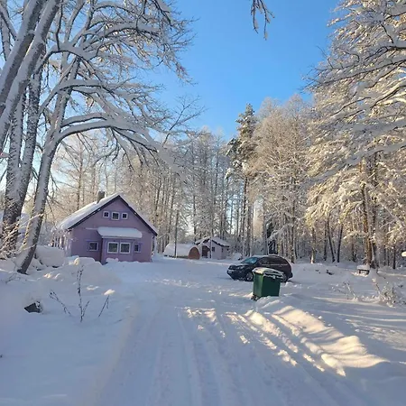 Traditional House With The Sauna And Free Parking Dom wakacyjny Sagadi